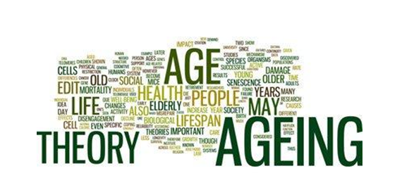 O papel da inovação na saúde para promover o envelhecimento activo