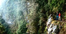 Pólo das Indústrias de Base Florestal 