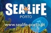 SEA LIFE CENTRE | Uma oferta turística que associa o lazer e a investigação científica 