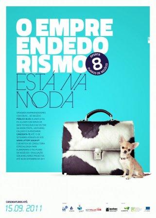 "O empreendedorismo está na moda"