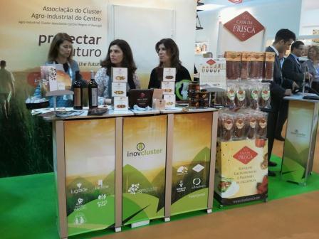 Stand Exposição
