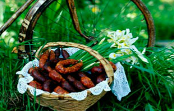 BIOFUMADOS | Aumentar a competitividade de um produto tradicional associando novas técnicas de bioconservação