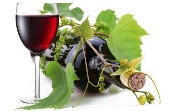 InovWine | Projecto que associa a área da Biotecnologia  e as tecnologias da informação e comunicação num setor tradicional