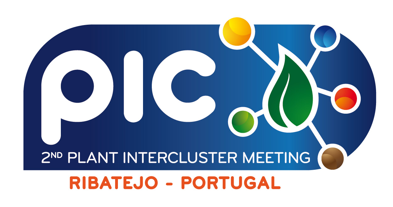 Logo PIC