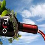 Vinhos do Tejo