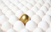 Linha de Financiamento a Investidores em Capital de Risco – Business Angels
