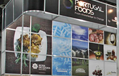 Stand InovCluster