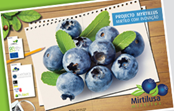 Myrtillus | Mirtilo com Inovação - Desenvolvimento de novos produtos funcionais a partir do mirtilo e seus subprodutos