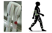 ProLimb | Sensorização Eletrónica para a Profilaxia de Patologias dos Membros Inferiores