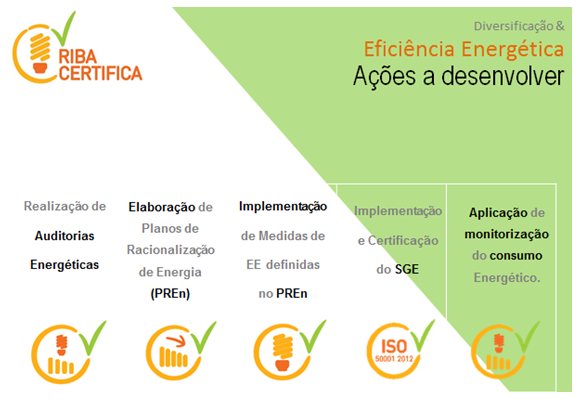 Acções a Desenvolver