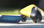 Ziphius