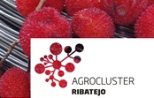 Agrocluster Ribatejo