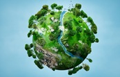Projeto “IEM - Carbono Social”