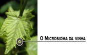 Projeto | Microbioma 