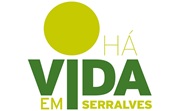 Há Vida em Serralves: