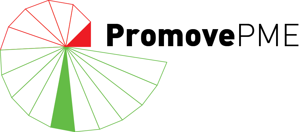 Logo ProMOVE:PME