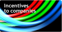 Incentives to companies